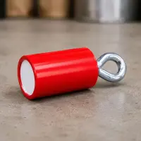 Magnet with Hook