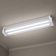 2 FOOT LED WIREGUARD BATTEN 2 x 10w LED TUBES - SP210WG