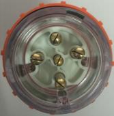 Highline 5 Pin 10amp ROUND Straight Plug IP66 - Three Phase - Impact and Chemical Resistant
